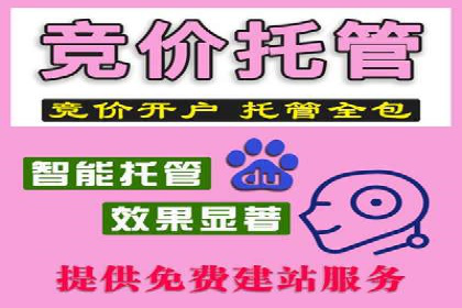 案例展示：专业SEM托管服务为企业带来精准流量